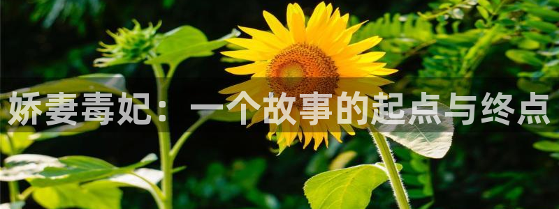 汗汗漫画看不了了：娇妻毒妃：一个故事的起点与终点