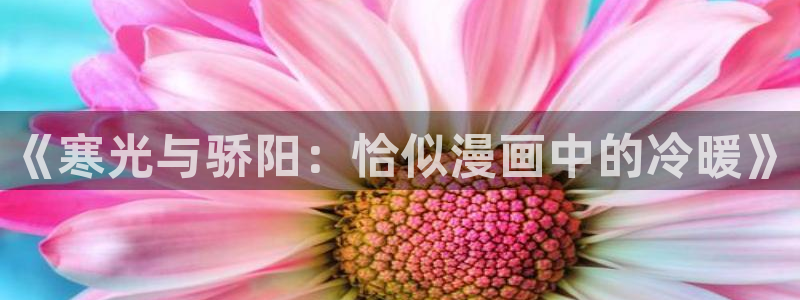 av羞羞汗汗漫画