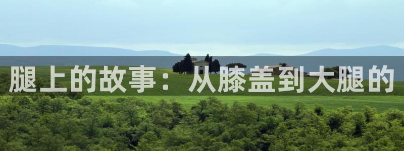 汗汗漫画在线登录