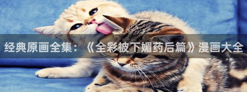 歪歪汗汗漫画网