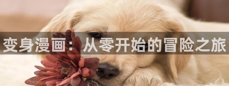 汗汗漫画免费网站