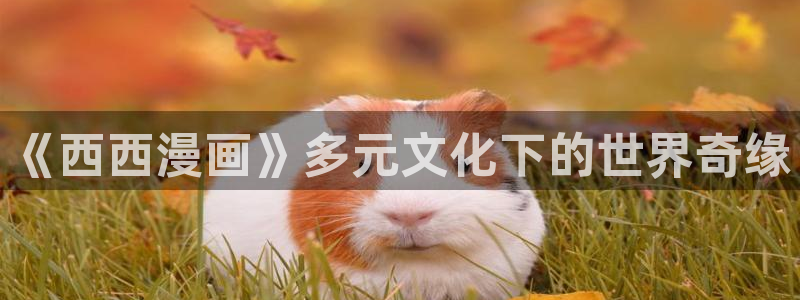 汗汗漫画网址入口